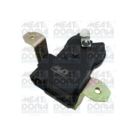 31491 Door Lock