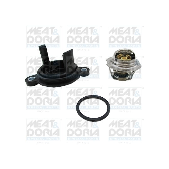92920 Thermostat, coolant