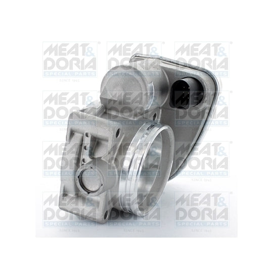 89201 Throttle body