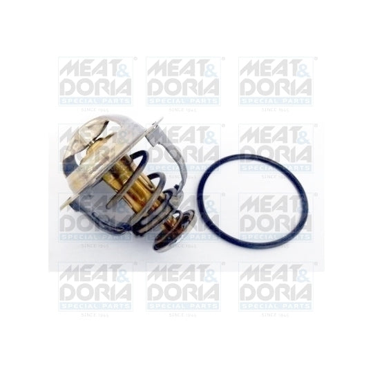 92821 Thermostat, coolant