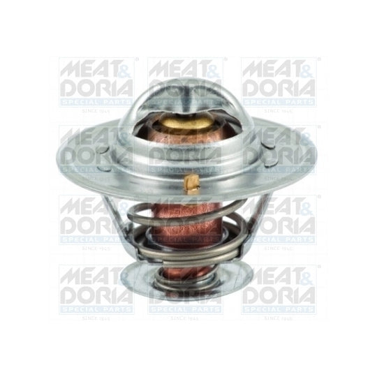 92213 Thermostat, coolant