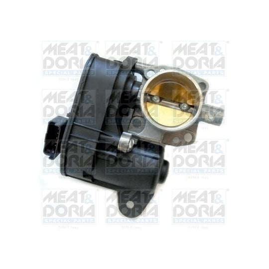 89296 Throttle body