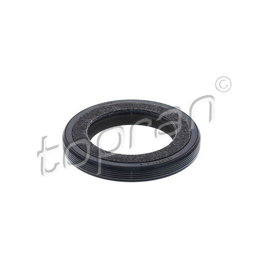 304 144 Shaft Seal, crankshaft