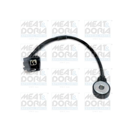 875005 Knock Sensor