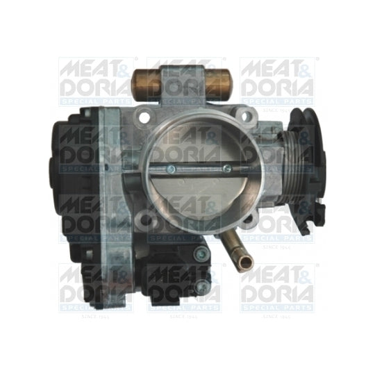 89005 Throttle body