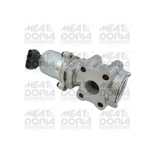 88467 EGR Valve