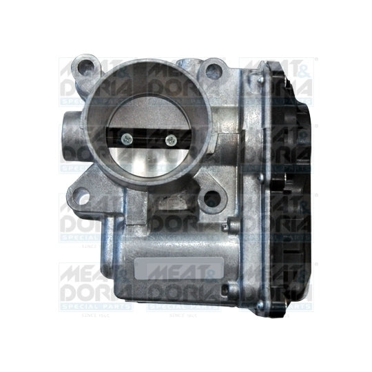 89121 Throttle body