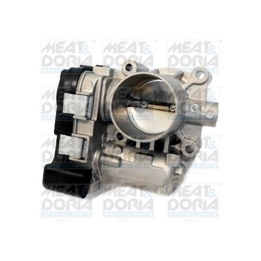 89207 Throttle body