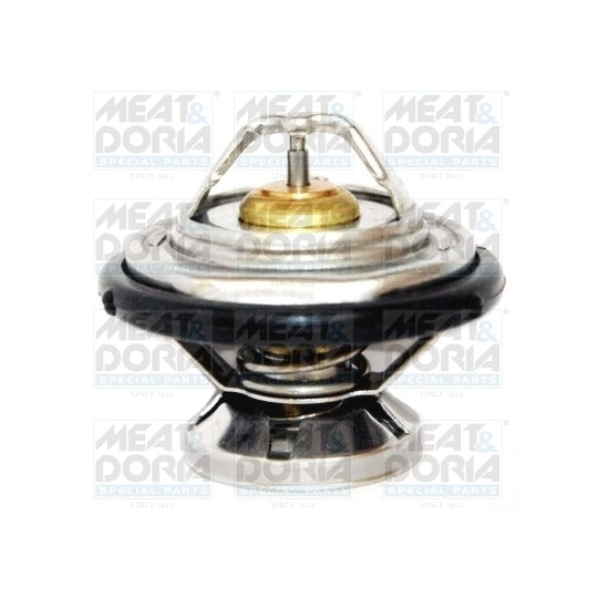 92195 Thermostat, coolant