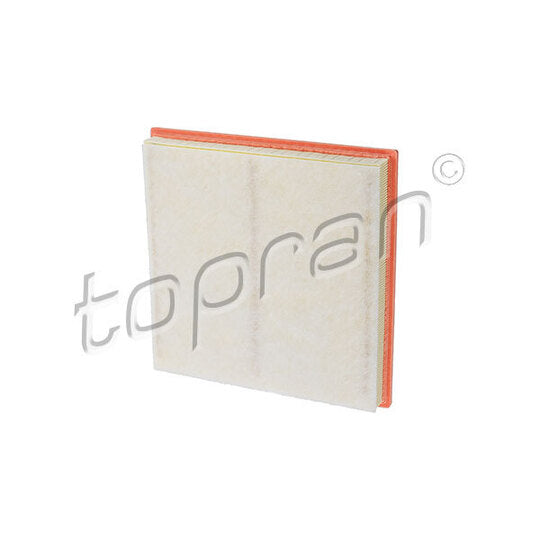 207 777 Air filter