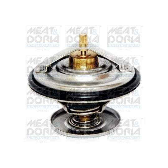 92187 Thermostat, coolant