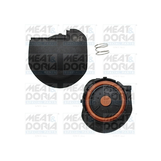 91669 Valve, engine block breather