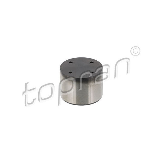 304 822 Plunger, high pressure pump