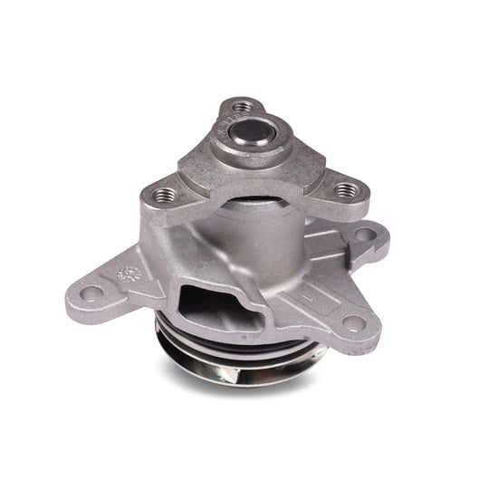 P905 Water pump