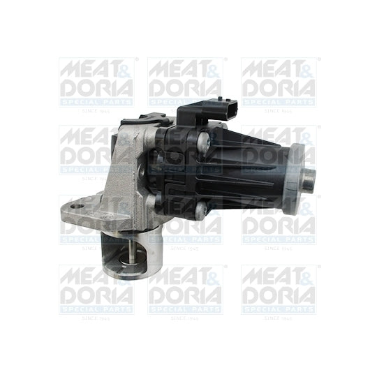 88748 EGR Valve