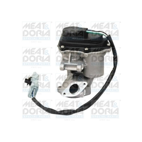 88197R EGR Valve