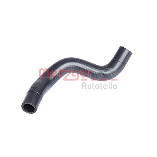 2420051 Radiator Hose