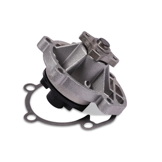 P602 Water pump