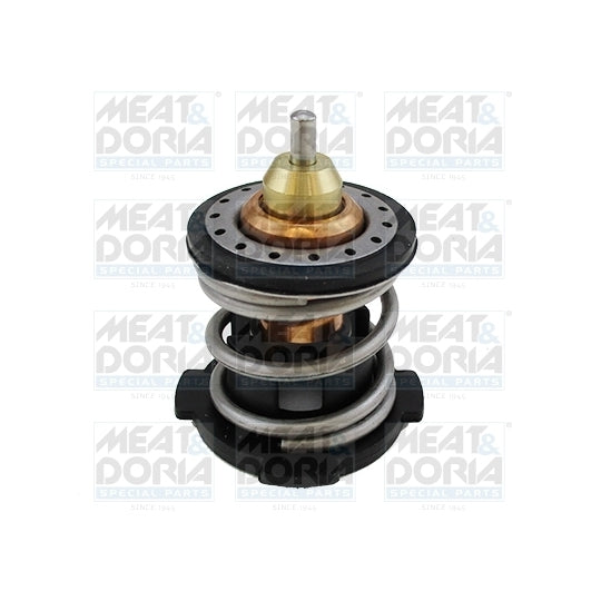 92901 Thermostat, coolant