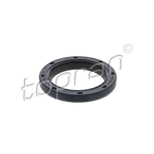 302 171 Shaft Seal, crankshaft