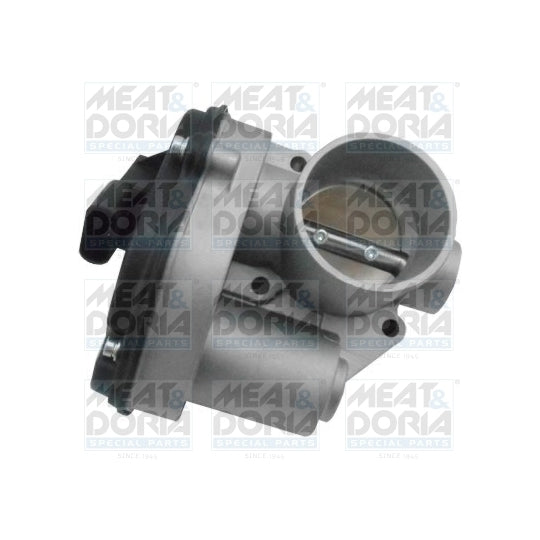 89194 Throttle body