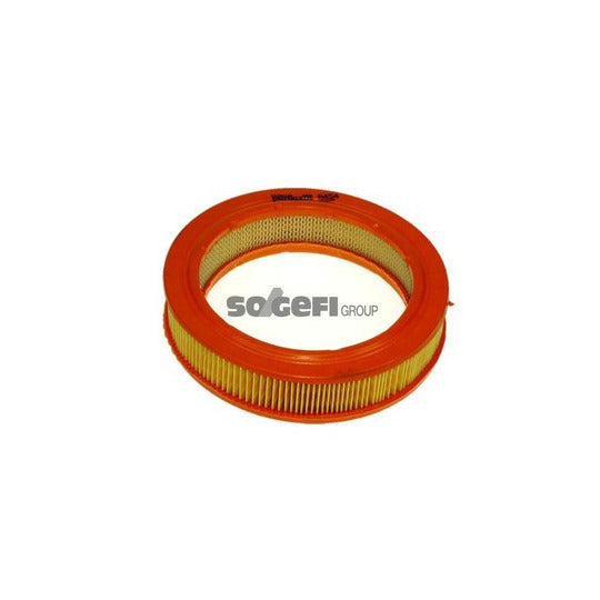 A454 Air filter