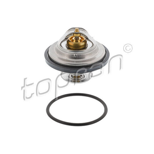 500 542 Thermostat, coolant