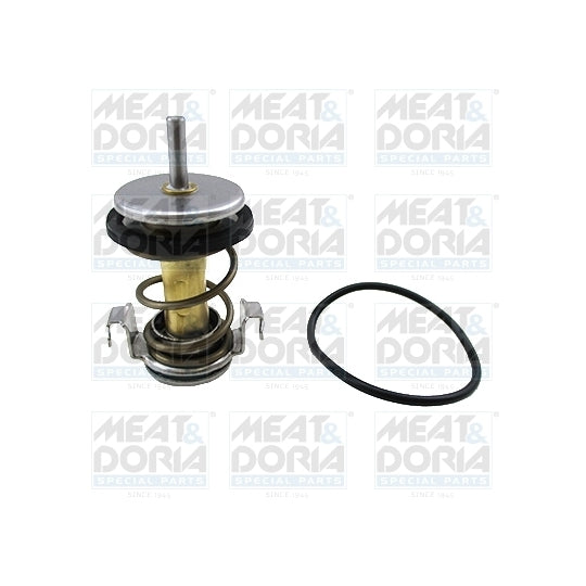 92923 Thermostat, coolant