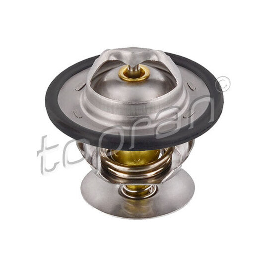 300 405 Thermostat, coolant