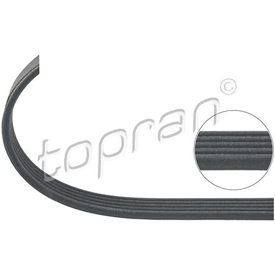 205 745 V-Ribbed Belt