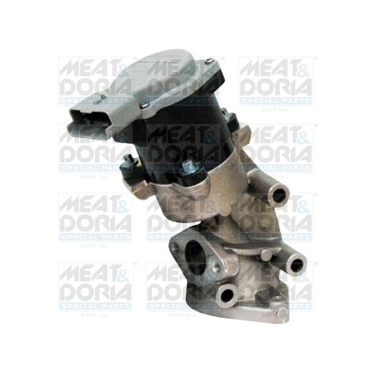 88223 EGR Valve