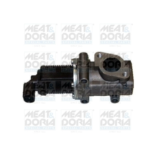 88007R EGR Valve