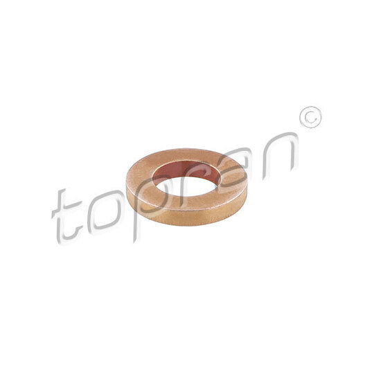 118 076 Seal Ring, injector