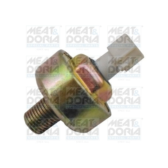 875017 Knock Sensor