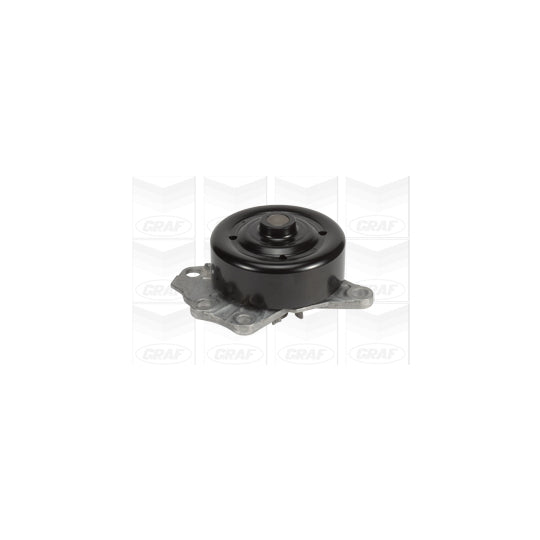 PA1020 Water pump