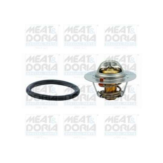 92342 Thermostat, coolant