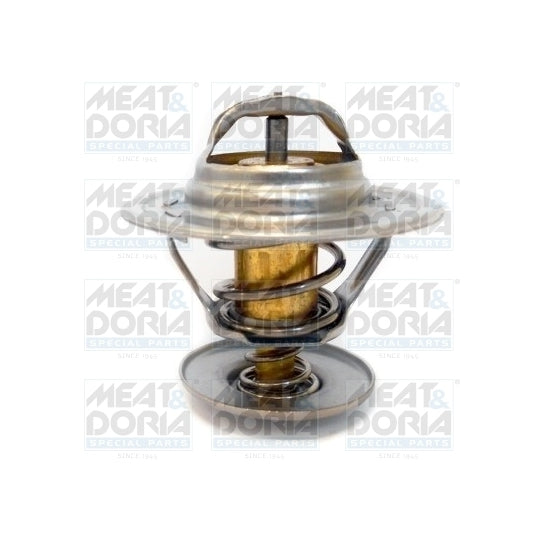 92121 Thermostat, coolant