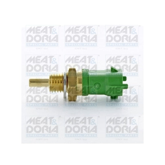 82419 Sensor, fuel temperature