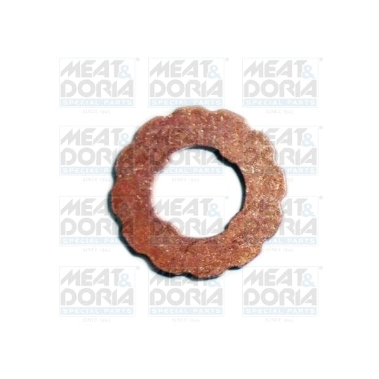 9598 Seal Ring, nozzle holder