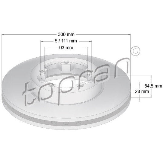 303 975 Brake disk