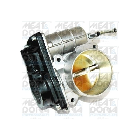 89172 Throttle body