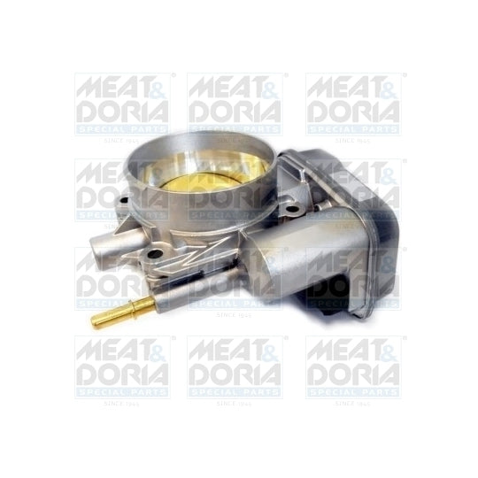 89257 Throttle body