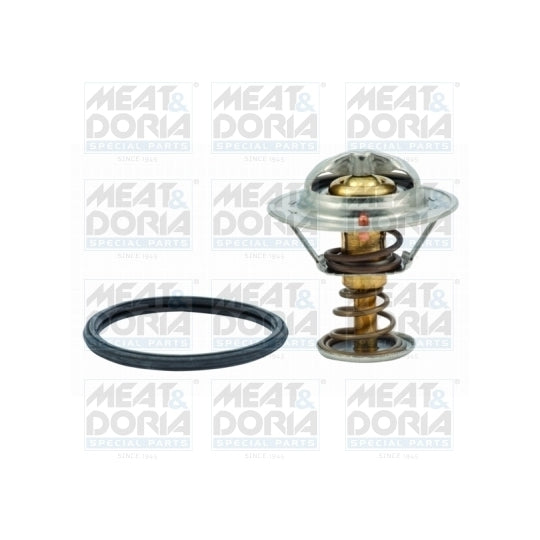 92477 Thermostat, coolant