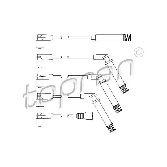 202 520 Ignition Cable Kit