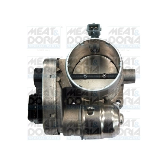 89111 Throttle body