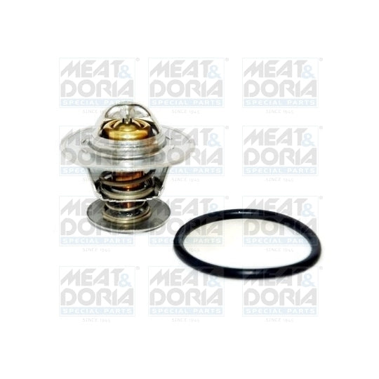 92194 Thermostat, coolant