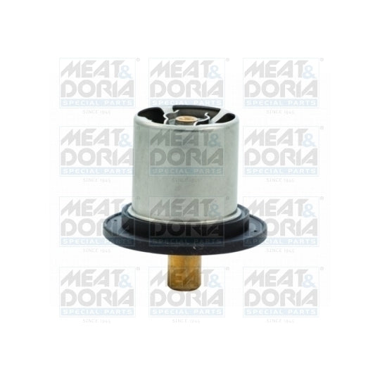 92428 Thermostat, coolant