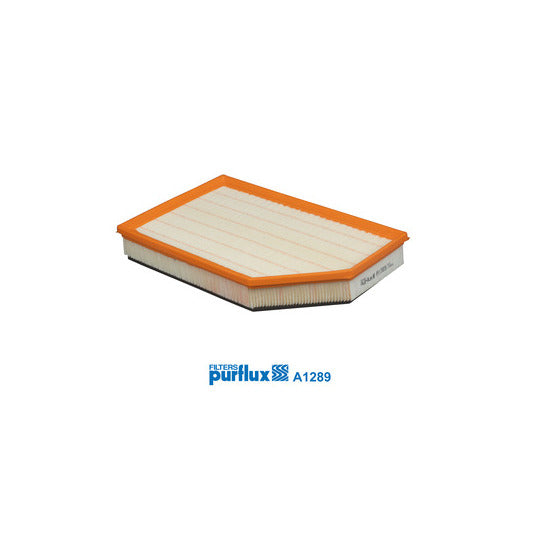 A1289 Air filter