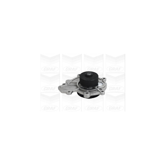 PA1068 Water pump