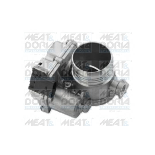 89118 Throttle body